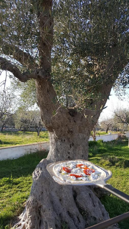 Masseria Cesarina B&B Castellana Grotte Εξωτερικό φωτογραφία